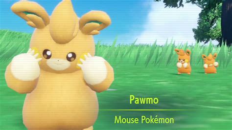 pawmi pokemon evolution|How to evolve Pawmo into Pawmot in Pokémon。